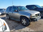 2002 Chevrolet Trailblazer Ltz Золотой vin: 1GNDT13S722467541