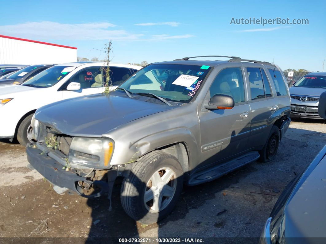 2002 Chevrolet Trailblazer Ltz Золотой vin: 1GNDT13S722467541