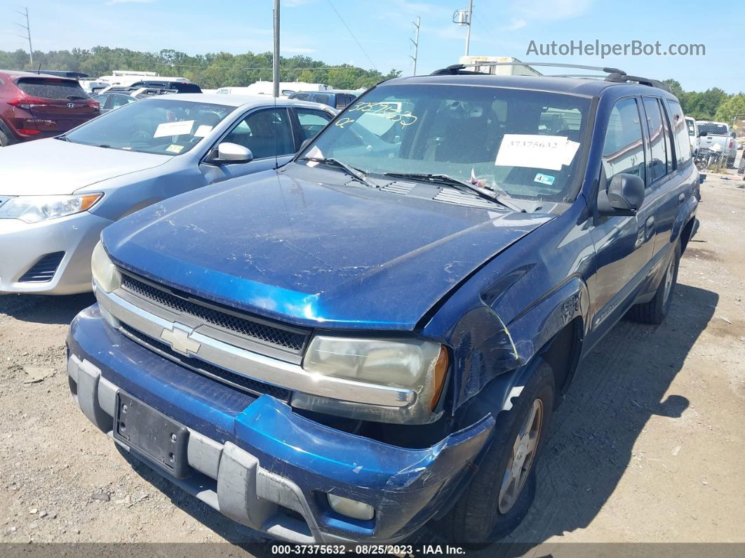 2002 Chevrolet Trailblazer Lt Синий vin: 1GNDT13S722494402