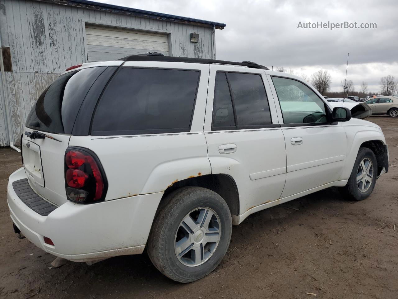 2006 Chevrolet Trailblazer Ls White vin: 1GNDT13S762161624