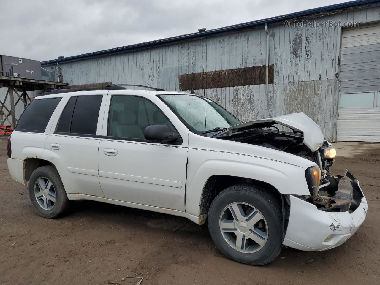 2006 Chevrolet Trailblazer Ls White vin: 1GNDT13S762161624