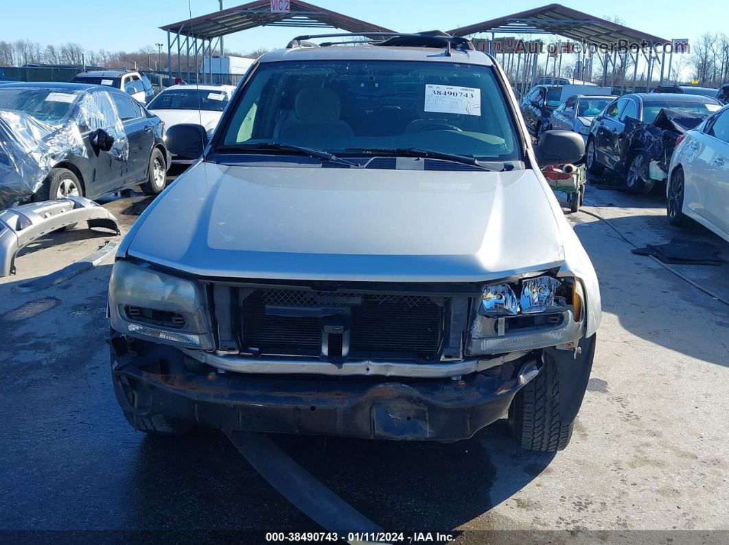 2006 Chevrolet Trailblazer Ls Серебряный vin: 1GNDT13S762181520