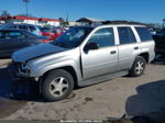 2006 Chevrolet Trailblazer Ls Серебряный vin: 1GNDT13S762181520