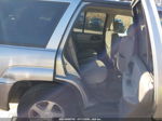 2006 Chevrolet Trailblazer Ls Серебряный vin: 1GNDT13S762181520