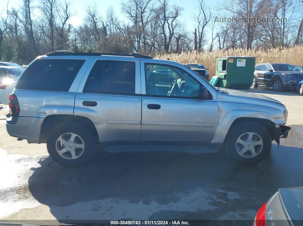 2006 Chevrolet Trailblazer Ls Серебряный vin: 1GNDT13S762181520