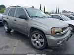 2006 Chevrolet Trailblazer Ls Gray vin: 1GNDT13S762222843