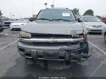 2006 Chevrolet Trailblazer Ls Gray vin: 1GNDT13S762222843