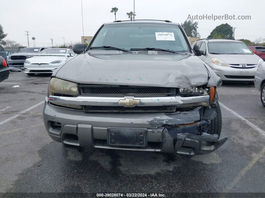 2006 Chevrolet Trailblazer Ls Gray vin: 1GNDT13S762222843