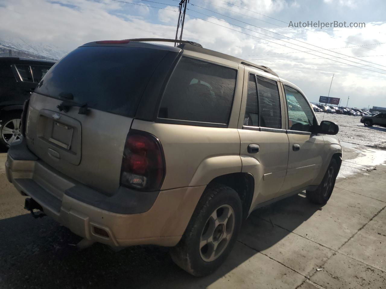 2006 Chevrolet Trailblazer Ls Коричневый vin: 1GNDT13S762331609