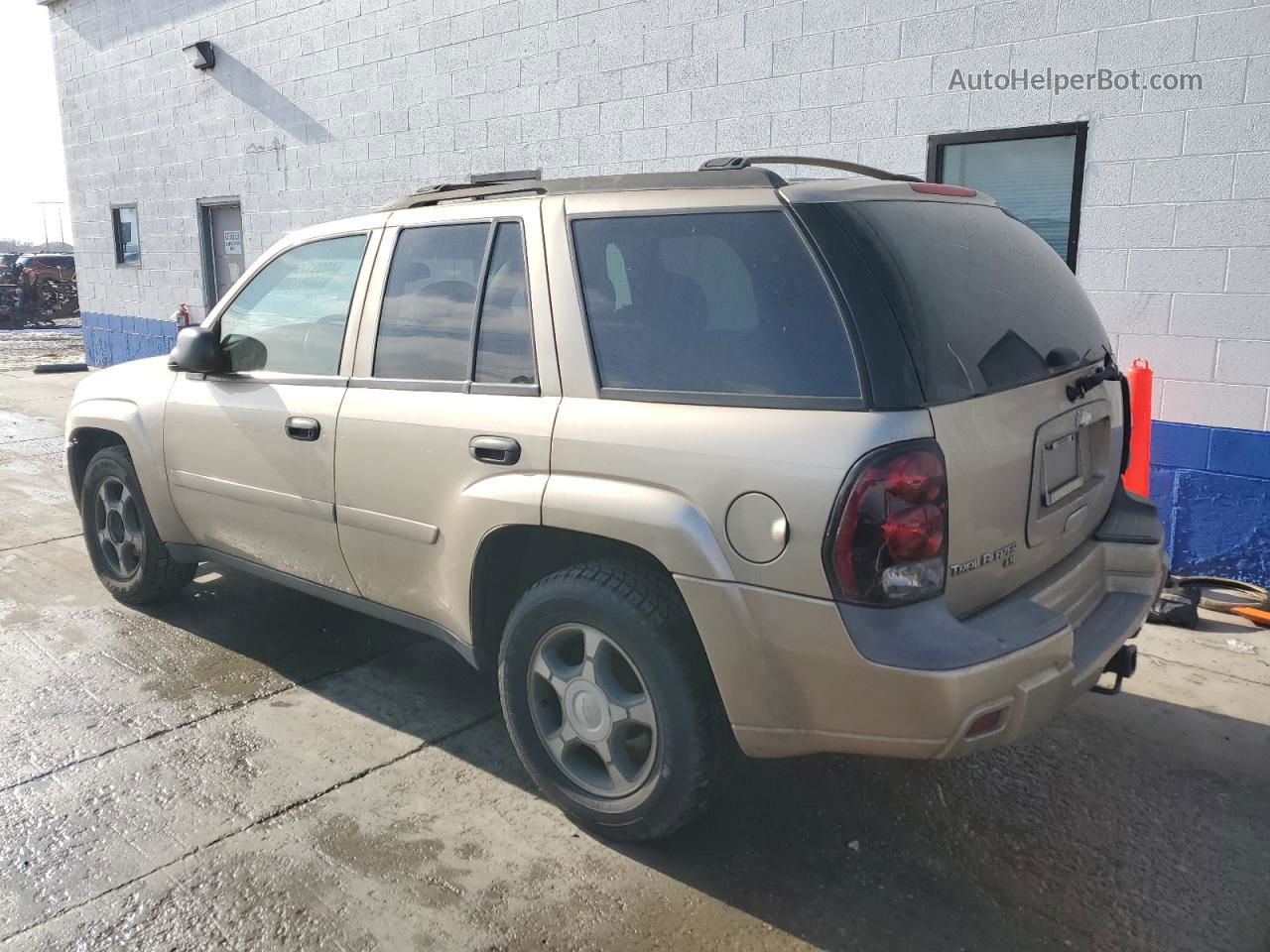 2006 Chevrolet Trailblazer Ls Коричневый vin: 1GNDT13S762331609