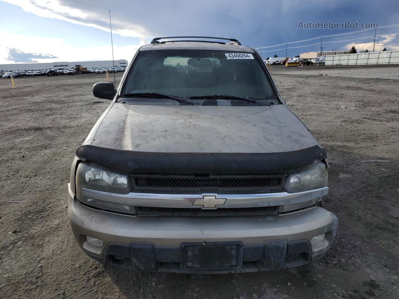 2002 Chevrolet Trailblazer  Желто-коричневый vin: 1GNDT13S822156197