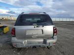 2002 Chevrolet Trailblazer  Tan vin: 1GNDT13S822156197