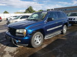 2002 Chevrolet Trailblazer  Blue vin: 1GNDT13S822189166