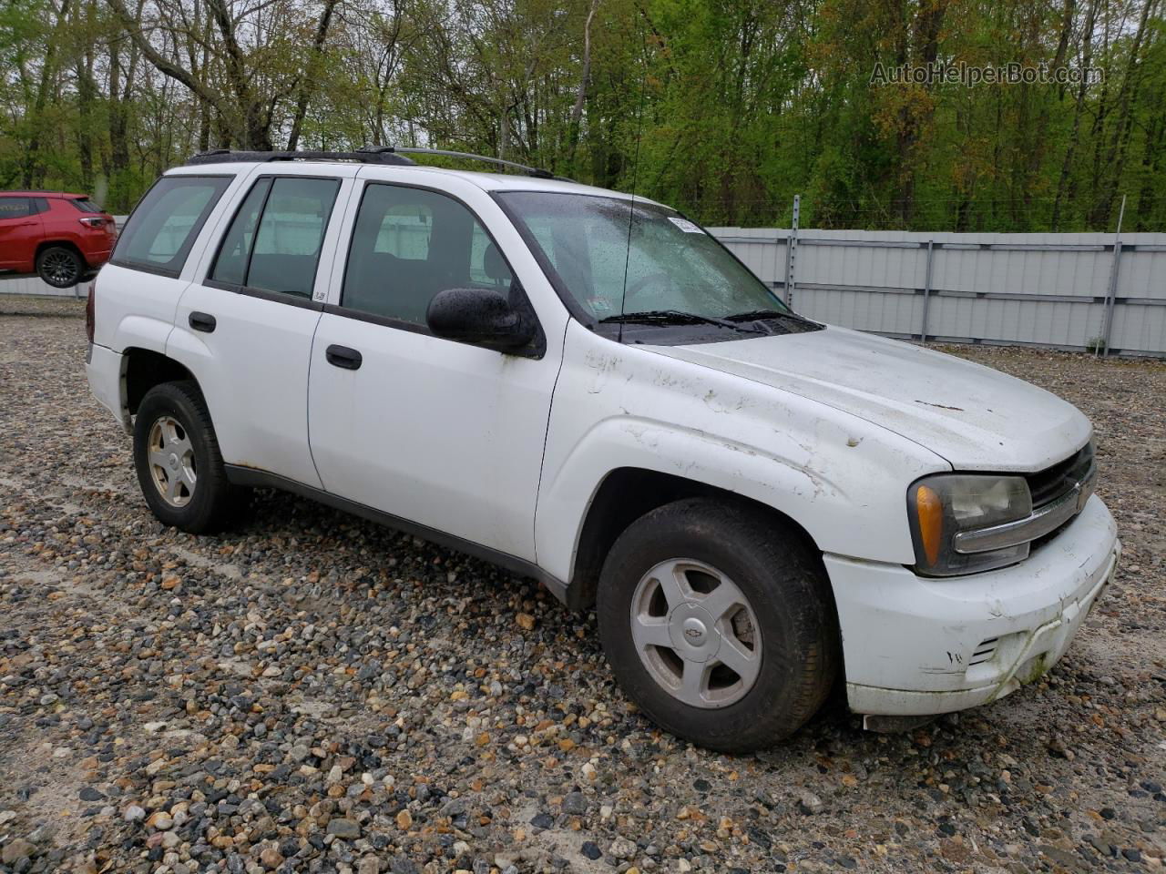 2002 Chevrolet Trailblazer  Белый vin: 1GNDT13S822316711