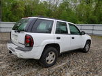 2002 Chevrolet Trailblazer  White vin: 1GNDT13S822316711