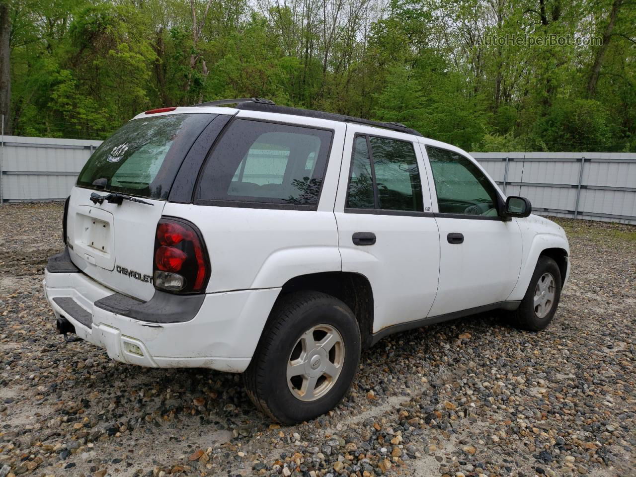 2002 Chevrolet Trailblazer  White vin: 1GNDT13S822316711