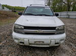 2002 Chevrolet Trailblazer  Белый vin: 1GNDT13S822316711