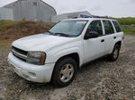 2002 Chevrolet Trailblazer  Белый vin: 1GNDT13S822316711