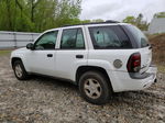 2002 Chevrolet Trailblazer  Белый vin: 1GNDT13S822316711