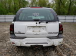 2002 Chevrolet Trailblazer  White vin: 1GNDT13S822316711