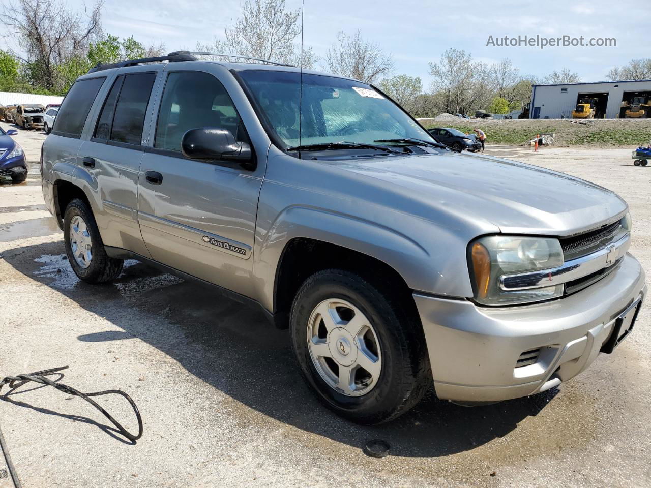 2002 Chevrolet Trailblazer  Gold vin: 1GNDT13S822327403