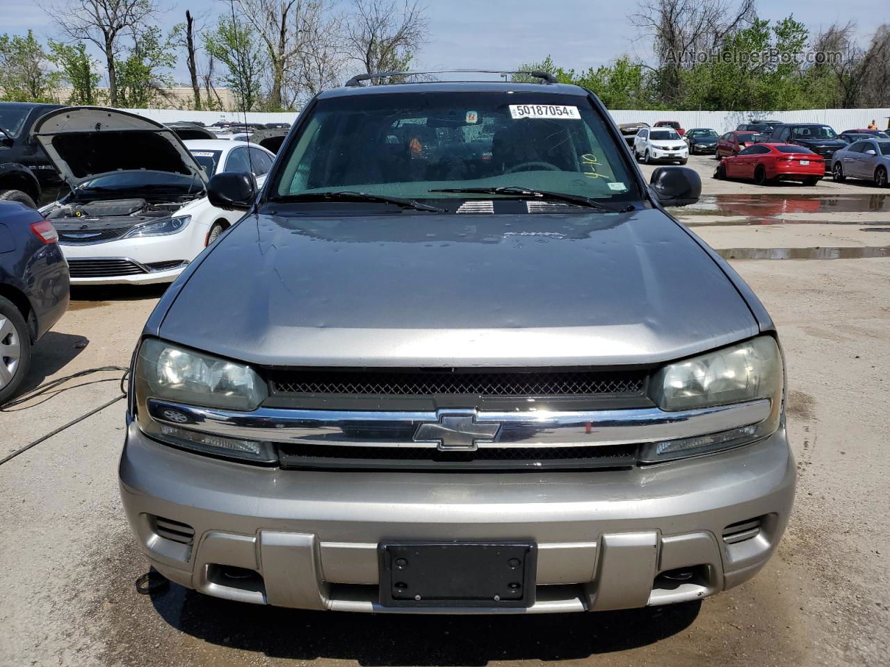 2002 Chevrolet Trailblazer  Золотой vin: 1GNDT13S822327403