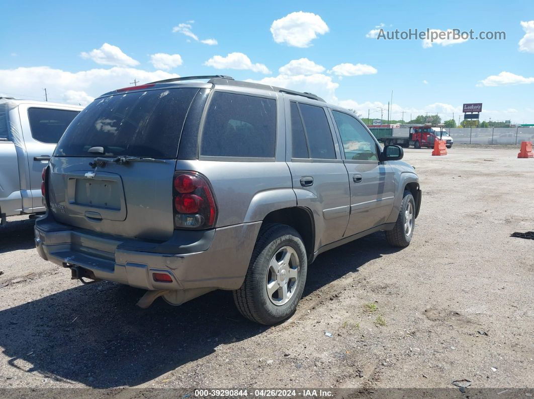 2006 Chevrolet Trailblazer Ls Silver vin: 1GNDT13S862106857