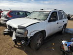 2006 Chevrolet Trailblazer Ls Белый vin: 1GNDT13S862122623