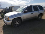 2006 Chevrolet Trailblazer Ls Серебряный vin: 1GNDT13S862176682