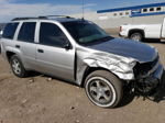 2006 Chevrolet Trailblazer Ls Серебряный vin: 1GNDT13S862176682