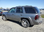 2006 Chevrolet Trailblazer Ls Silver vin: 1GNDT13S862197659