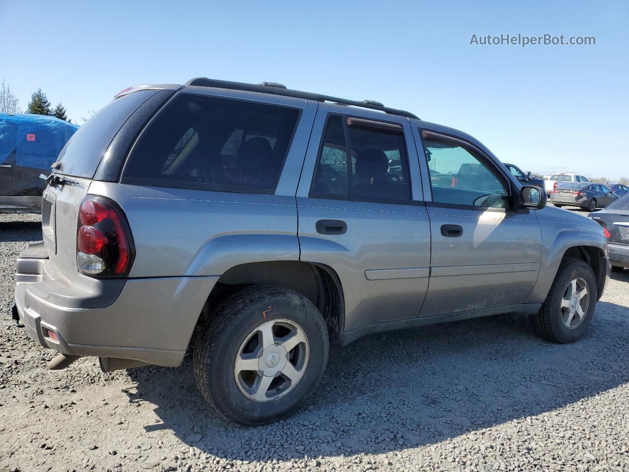 2006 Chevrolet Trailblazer Ls Серебряный vin: 1GNDT13S862197659