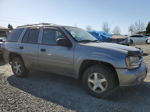 2006 Chevrolet Trailblazer Ls Серебряный vin: 1GNDT13S862197659