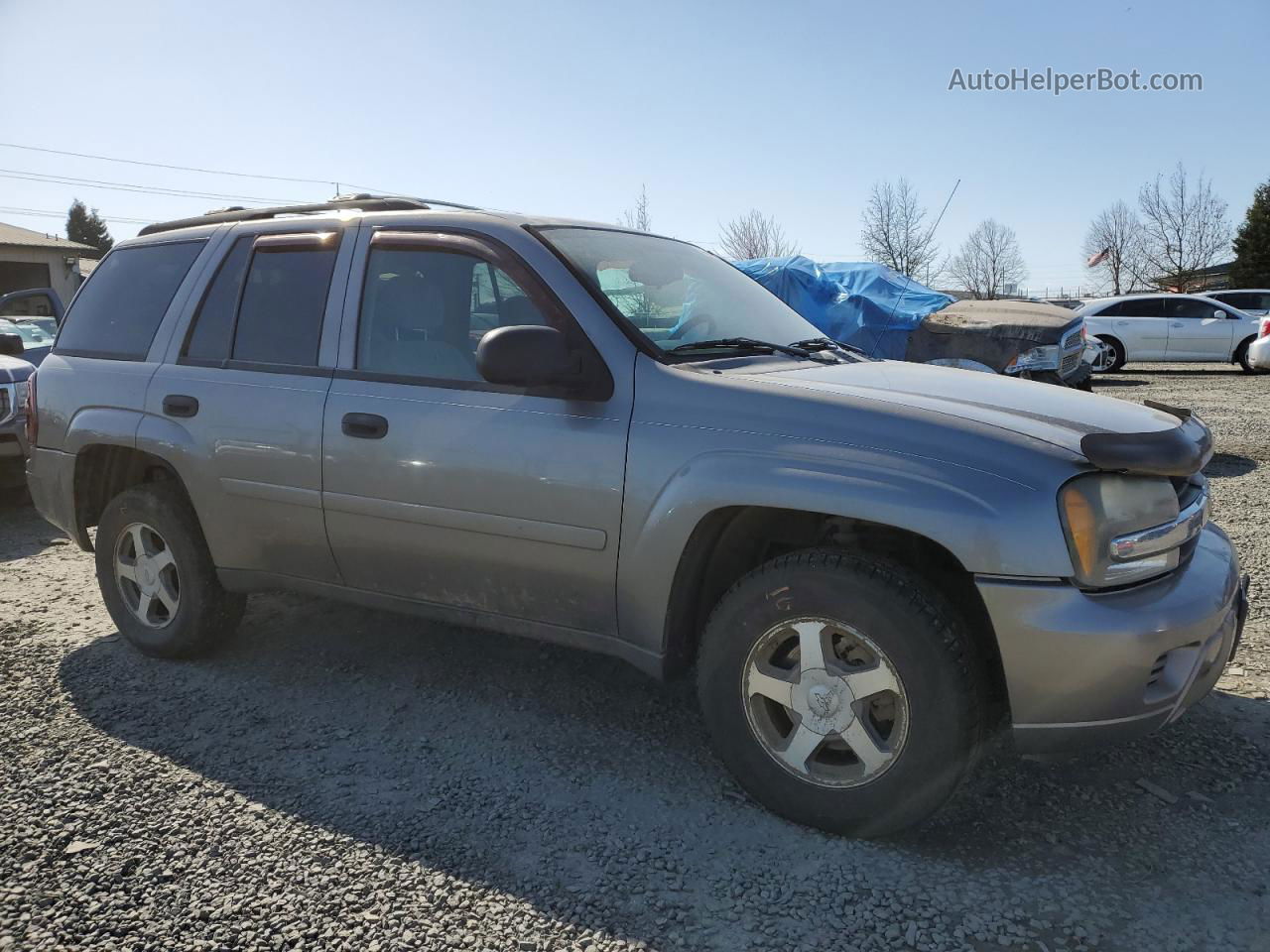 2006 Chevrolet Trailblazer Ls Silver vin: 1GNDT13S862197659