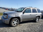 2006 Chevrolet Trailblazer Ls Silver vin: 1GNDT13S862197659