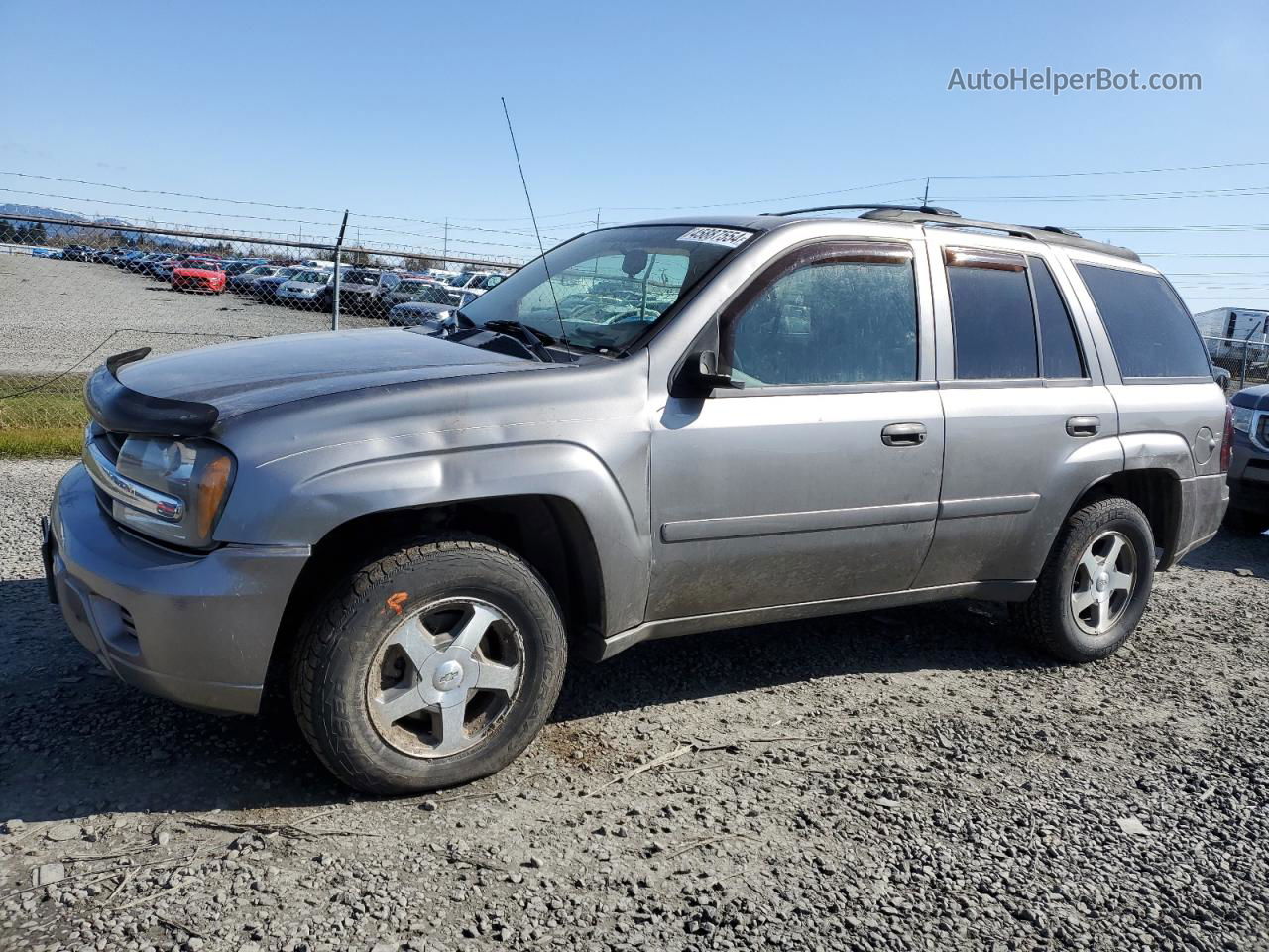 2006 Chevrolet Trailblazer Ls Серебряный vin: 1GNDT13S862197659