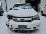 2006 Chevrolet Trailblazer Ls Белый vin: 1GNDT13S862233687