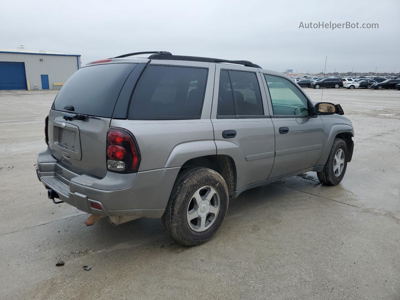 2006 Chevrolet Trailblazer Ls Silver vin: 1GNDT13S862285532