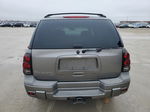 2006 Chevrolet Trailblazer Ls Silver vin: 1GNDT13S862285532