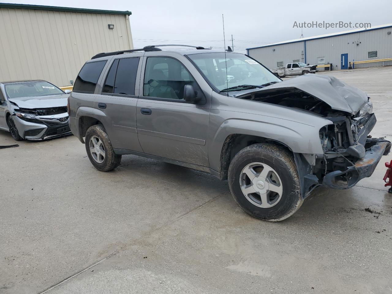 2006 Chevrolet Trailblazer Ls Silver vin: 1GNDT13S862285532