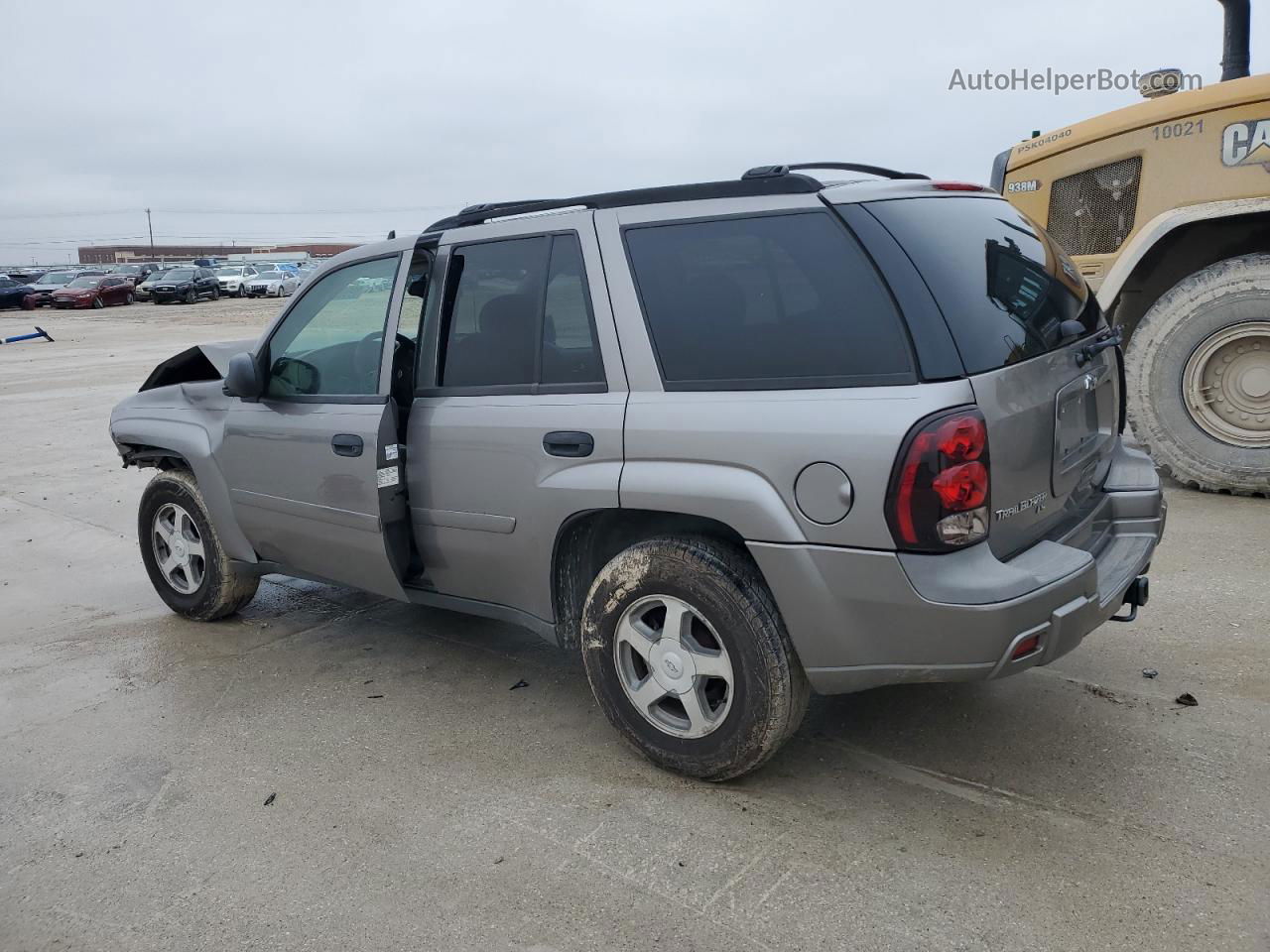 2006 Chevrolet Trailblazer Ls Silver vin: 1GNDT13S862285532