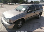 2002 Chevrolet Trailblazer Lt Gray vin: 1GNDT13S922170187