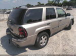 2002 Chevrolet Trailblazer Lt Gray vin: 1GNDT13S922170187