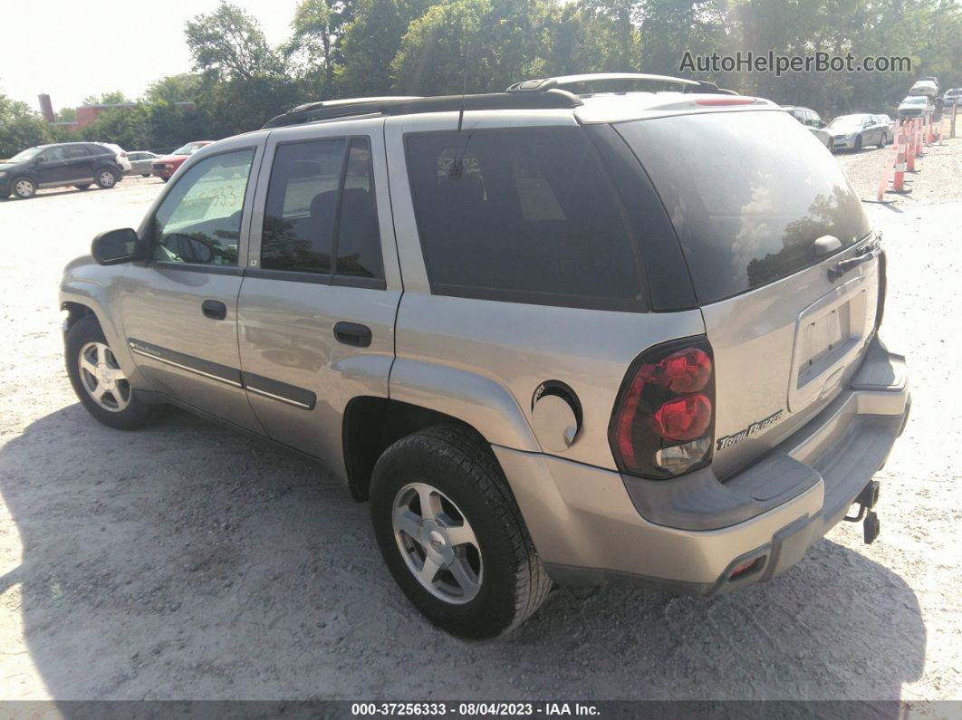 2002 Chevrolet Trailblazer Lt Gray vin: 1GNDT13S922170187