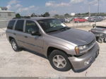 2002 Chevrolet Trailblazer Lt Gray vin: 1GNDT13S922170187