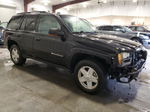 2002 Chevrolet Trailblazer  Black vin: 1GNDT13S922230064