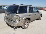 2002 Chevrolet Trailblazer  Tan vin: 1GNDT13S922287655