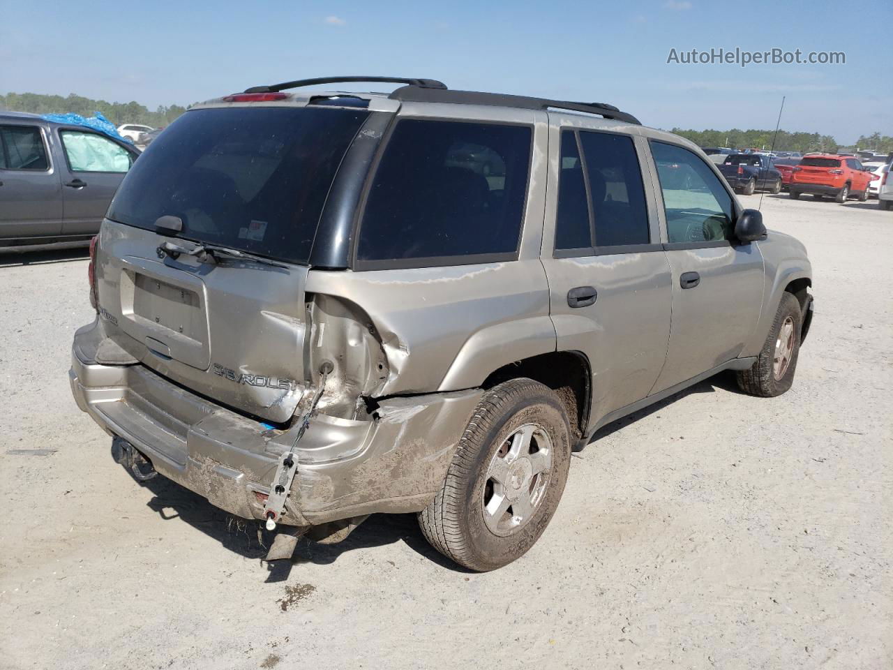 2002 Chevrolet Trailblazer  Tan vin: 1GNDT13S922287655