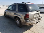 2002 Chevrolet Trailblazer  Tan vin: 1GNDT13S922287655