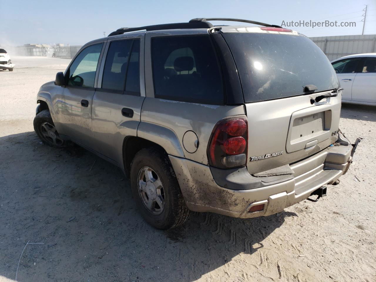 2002 Chevrolet Trailblazer  Tan vin: 1GNDT13S922287655